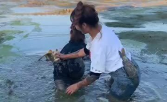 小姐姐鱼塘,揭秘网络社交新趋势