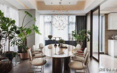 网红vc阿希哥民宿,网红VC带你体验别样民宿风情